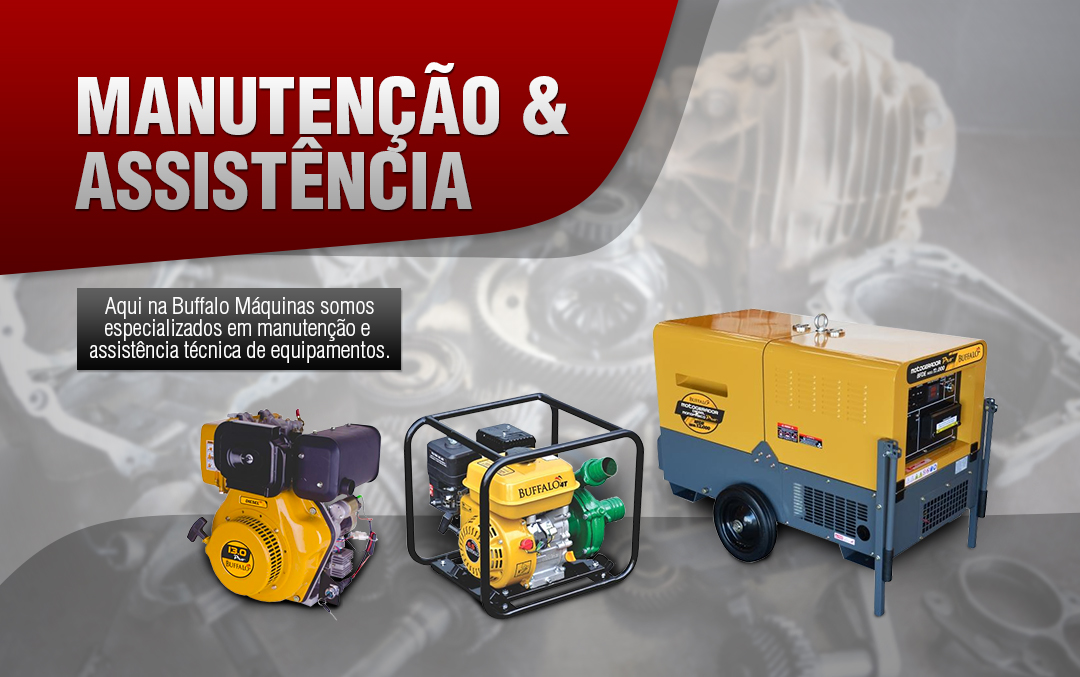 Manutenção e Assistência