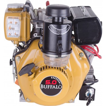 Motor BFDE 5.0 Diesel com Partida Elétrica