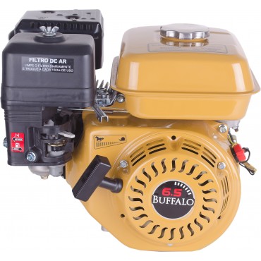 MOTOR BFG 6.5 GASOLINA REF.60600