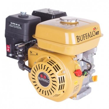 Motor BFG 5.5 Gasolina