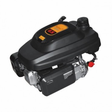 Motor BFG 6.5 Vertical
