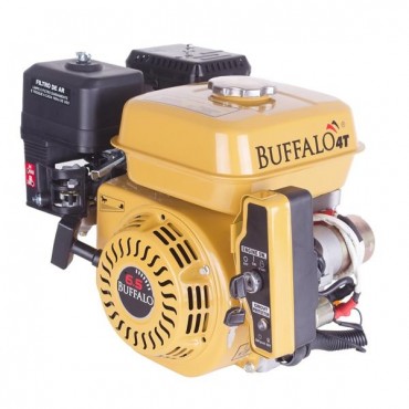 Motor BFGE 6.5 Gasolina
