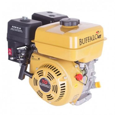 MOTOR BFG 7.0 GASOLINA REF.60702