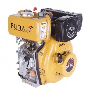 Motor BFD 5.0 Diesel