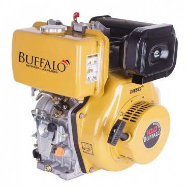Motor BFDE 10.0 Diesel com Partida Elétrica e filtro de ar a Óleo