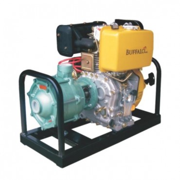 Motobomba BFDE P15/3 Multi-Estágio