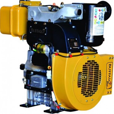 Motor BFDE 22cv Pro 2 cilindros - Eixo para bomba de incêndio